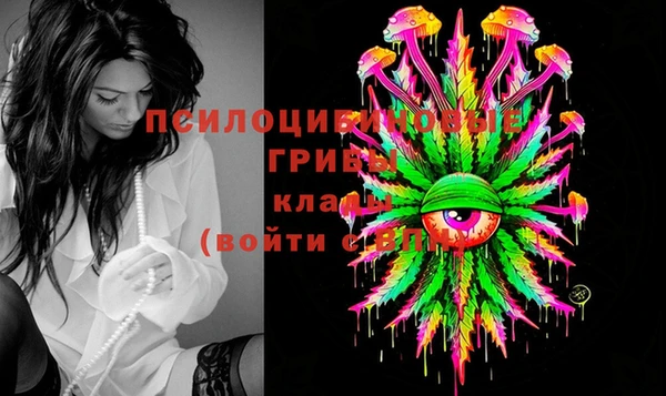 дживик Абинск