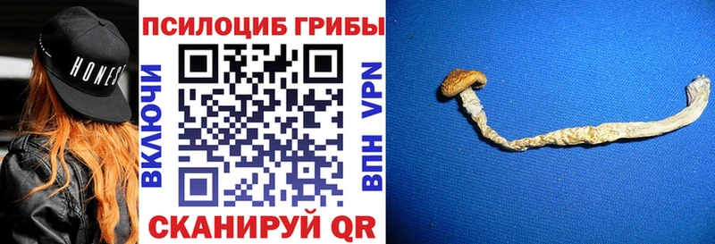 Псилоцибиновые грибы прущие грибы  Шумиха 